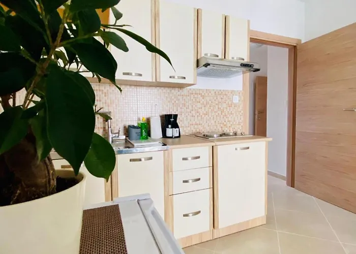 Πανσιόν Vinko In - Istrien 3*